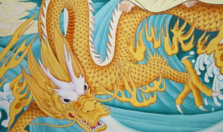 中国32种吉祥物大全 中国32种吉祥物大全(北京奥运会