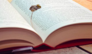 渣男专用昵称大全（渣男专用昵称大全四个字）