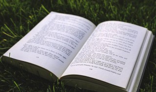 不烂大街的古风id三字 不烂大街的古风id三字情侣