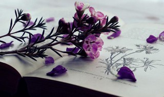 让人过目不忘的id 让人过目不忘的ID