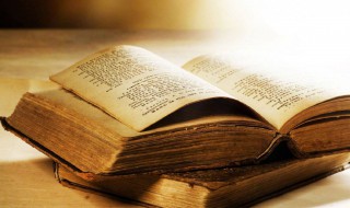 吃鸡里适合菜鸟的名字(吃鸡取个很菜鸟的名字)