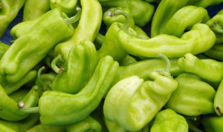 辣椒叶怎么腌制好吃（怎样腌制辣椒叶好吃）