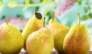 蜂蜜梨水怎么熬可以治咳嗽（蜂蜜梨水怎么熬可以治咳嗽化痰）