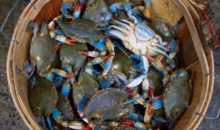 河蟹怎么煮 河蟹怎么煮好