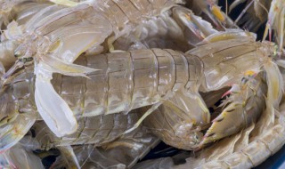 爬爬虾怎么做好吃 爬爬虾怎么做好吃又简单