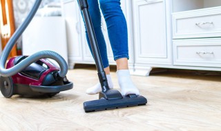 家里怎么会有蜈蚣 楼房家里怎么会有蜈蚣