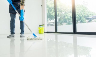 猫尿味怎么去除 沙发上猫尿味怎么去除