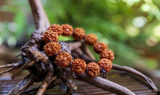 黄花梨手串怎么玩（黄花梨手串怎么玩?）