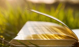 争怎么组词（争怎么组词一年级）