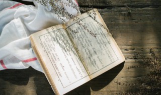 沟怎么组词（沟怎么组词怎么拼音）