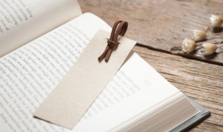 报的组词 报的组词怎么写