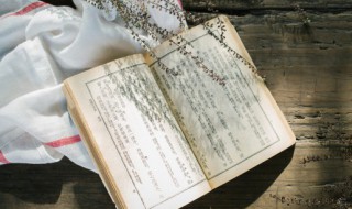 颗的组词 旅的组词