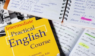 梨子的英语怎么读 梨子的英语怎么读怎么写