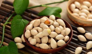 银杏核怎么吃（银杏核怎么吃没有毒）