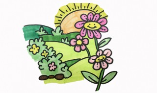 花园怎么画 秘密花园怎么画