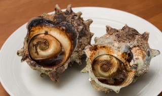 大海螺怎么做好吃（温州大海螺怎么做好吃）