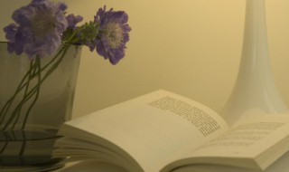 有和超神机械师类似的小说吗（有没有类似超神机械师的小说）