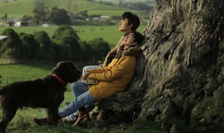 只有芸知道中的狗是什么品种 只有芸知道里的狗是什么品种