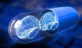 吃什么才能让大脑变聪明 吃什么才能让大脑变聪明快