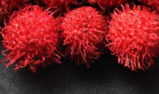 红毛丹做什么菜好吃 红毛丹什么样的好吃