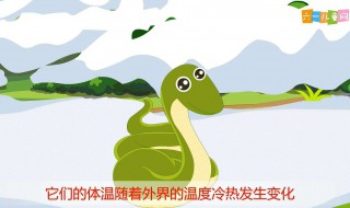蛇吃什么过冬的 蛇过冬吃东西吗