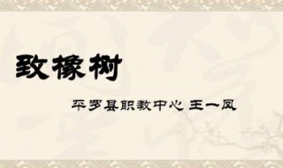 致橡树原文 致橡树原文解析