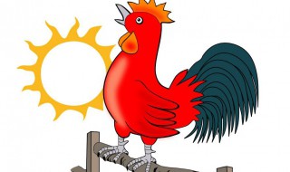 出生的时候鸡叫是几点 出生的时候鸡叫是几点钟