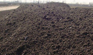 发酵鸡粪应该怎么施肥 发酵鸡粪应该怎么施肥视频