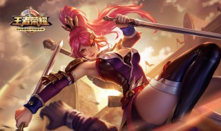 王者荣耀电脑版安装（王者荣耀电脑版安装错误代码16）