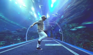 crush是什么梗（crush什么意思）