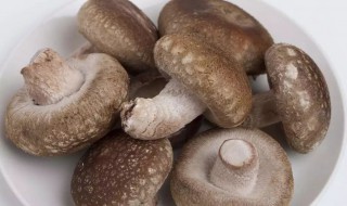 总吃香菇有什么好处（常吃香菇的好处）