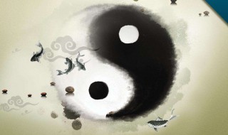 24式太极拳对身型的要求是?（24式太极拳对身型的要求是什么）