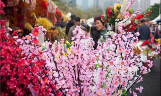 大良花市几时开（大良花市几时开业）