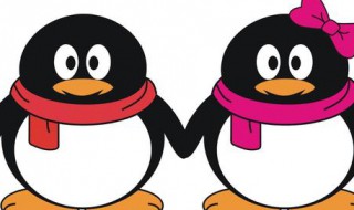 qq怎么缩小窗口（QQ浏览器怎么缩小窗口）