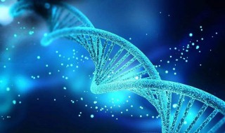 DNA中每个脱氧核苷酸由什么组成 组成dna的四种脱氧核糖核苷酸