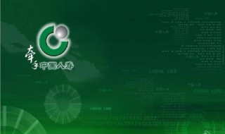 中国人寿康宁终身保险怎么退保 中国人寿康宁终身保险怎么退保流程