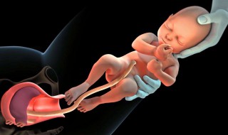 剖腹产假期多少天 剖腹产假期多少天2020