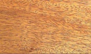 柬埔寨酸枝木学名叫啥 柬埔寨酸枝木简介品质怎样