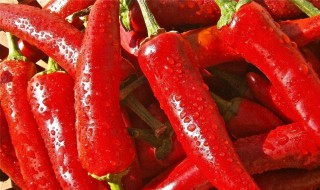 怀孕天天吃辣椒影响吗（孕期天天吃辣椒会怎样）