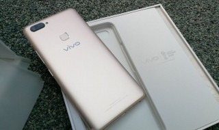 vivox20摔黑屏但有声音（vivox20摔了一下黑屏但是有声音）