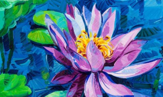 荷花花色多吗 荷花花色多吗为什么