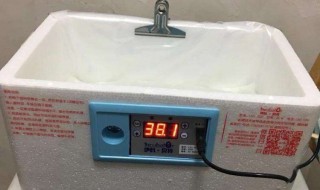 水床孵化湿度怎么控制（水床孵化怎样控制湿度）