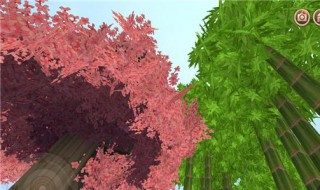 迷你世界生存中如何快速找到桃林（迷你世界生存怎么找到桃花林）