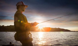 爆炸钩适合钓什么鱼 爆炸钩适合钓什么鱼种