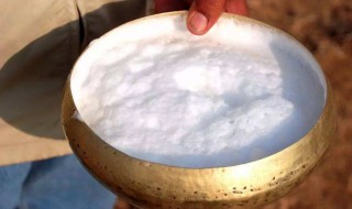 骆驼鲜奶能不能加热（骆驼鲜奶能不能加热吃）