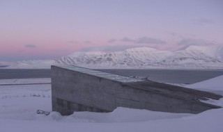 全球种子库在哪里（全球种子库在哪里下载）