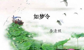 如梦令运用了哪些手法 如梦令的描写手法