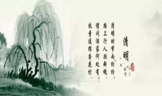 关于清明节的诗句（关于清明节的诗句古诗大全四句）