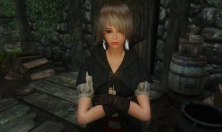 上古卷轴5随从箭会用完吗 上古卷轴5随从的箭会用完吗