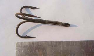 锚钩能钓鱼吗（锚钩能钓鱼吗图解）